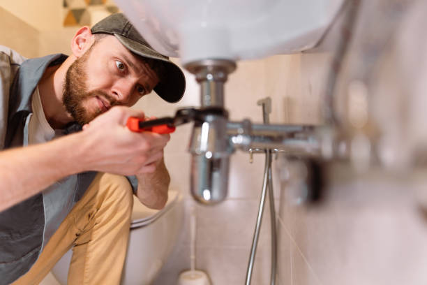 Best Water Leak Repair  in Brighton, MI