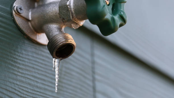 Best Clogged Drain Plumber  in Brighton, MI