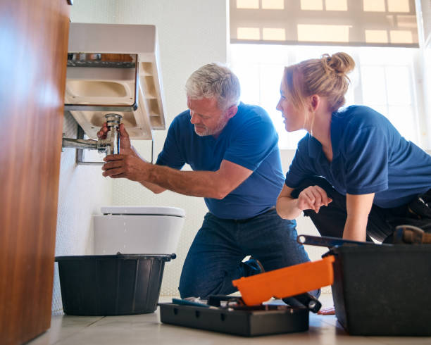 Best Plumbing Repair Near Me  in Brighton, MI